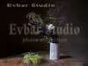 Evbar Studio. 