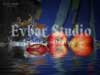 Evbar Studio.   