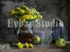 Evbar Studio. Желтые одуванчики
