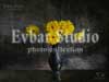 Evbar Studio.  