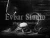 Evbar Studio. 