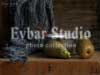 Evbar Studio. Там, где время остановилось