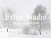 Evbar Studio.   