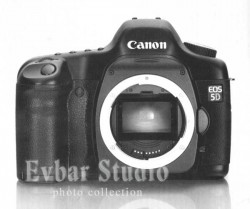 canon-5d.jpg